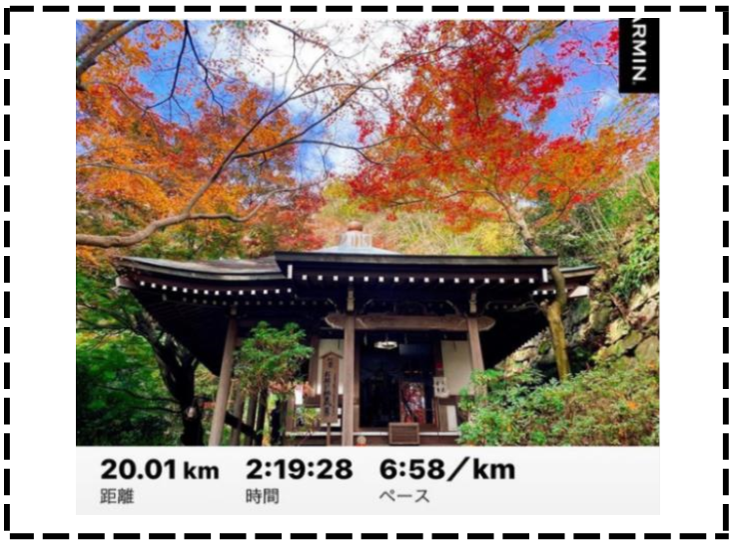 紅葉の神社の写真