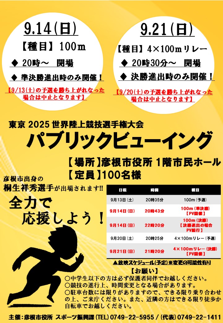 パブリックビューイングの詳細チラシ