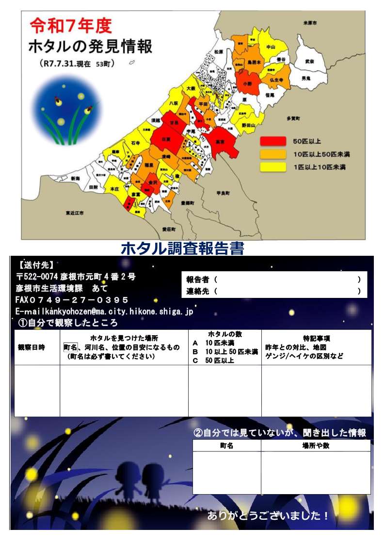 調査報告書画像