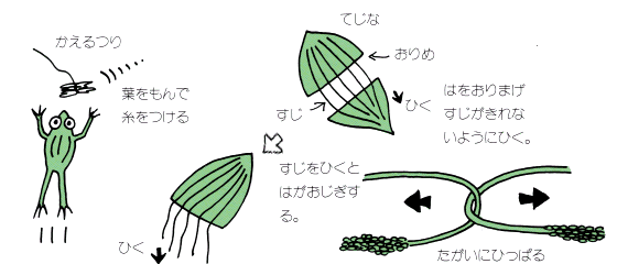 オオバコであそぼう 彦根市