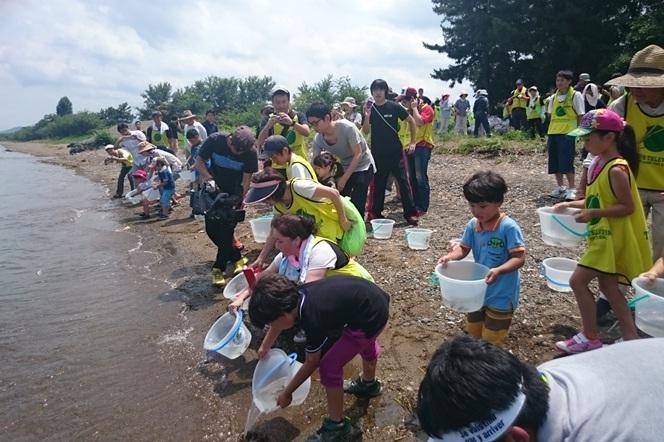 海岸で多くの人々が二ゴロブナを海に放流している写真