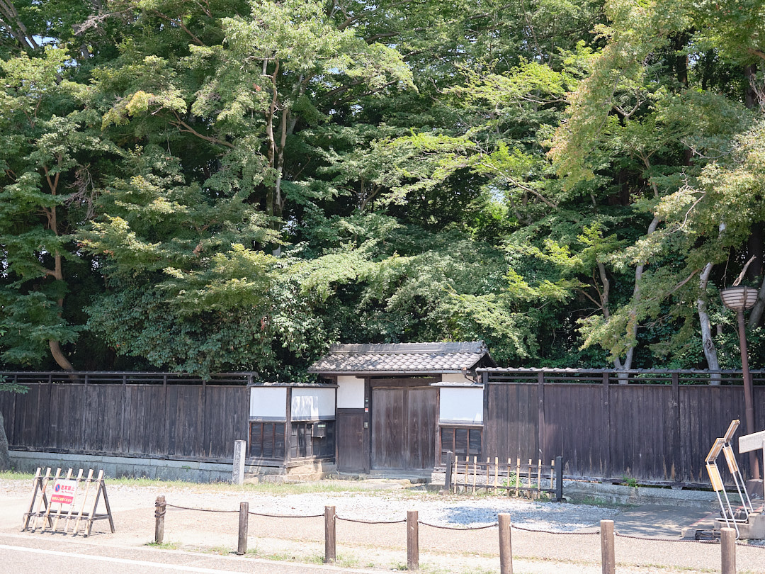 成長した樹木と木俣屋敷の門の写真