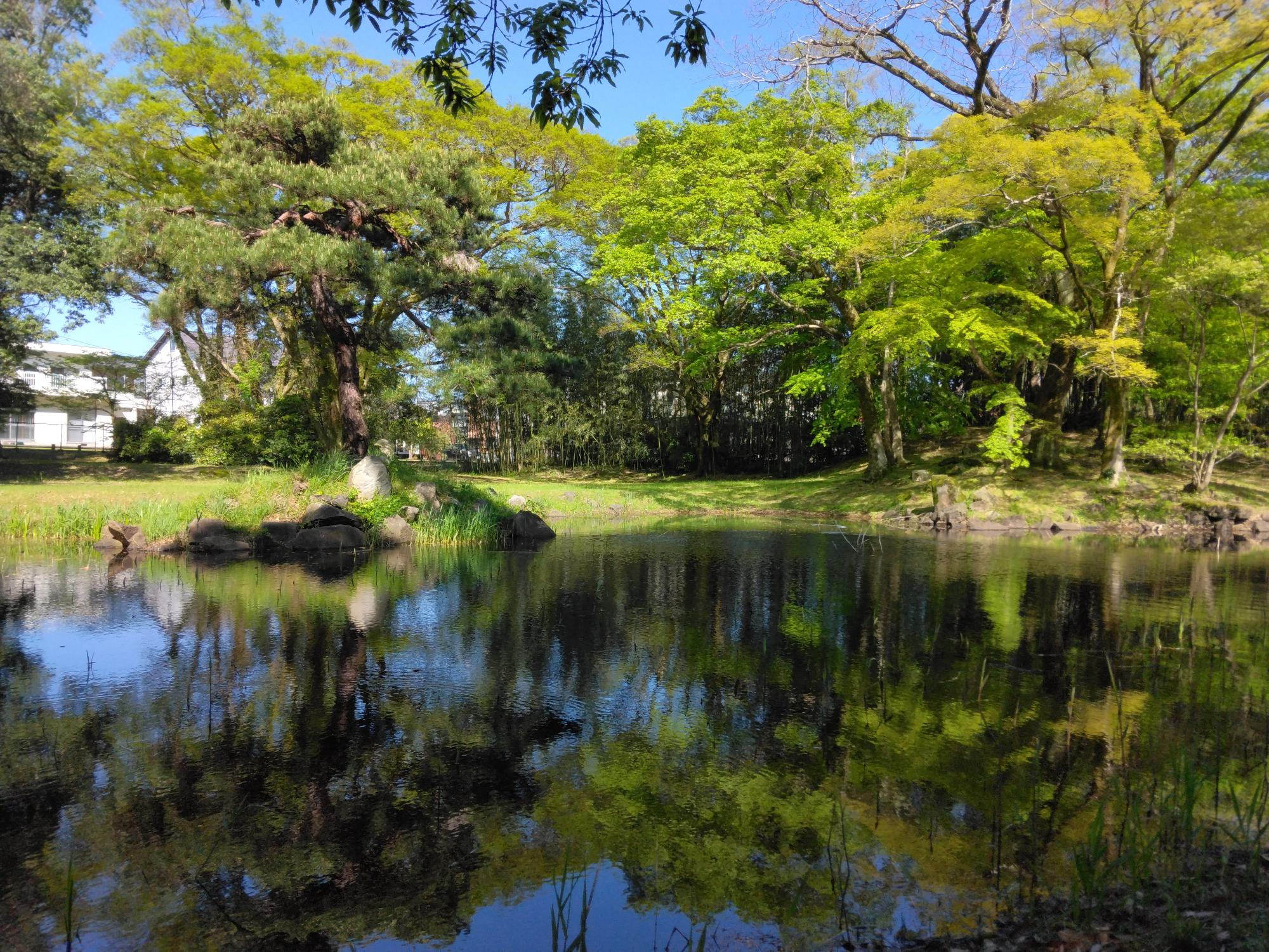 水面が美しいお浜御殿庭園の写真