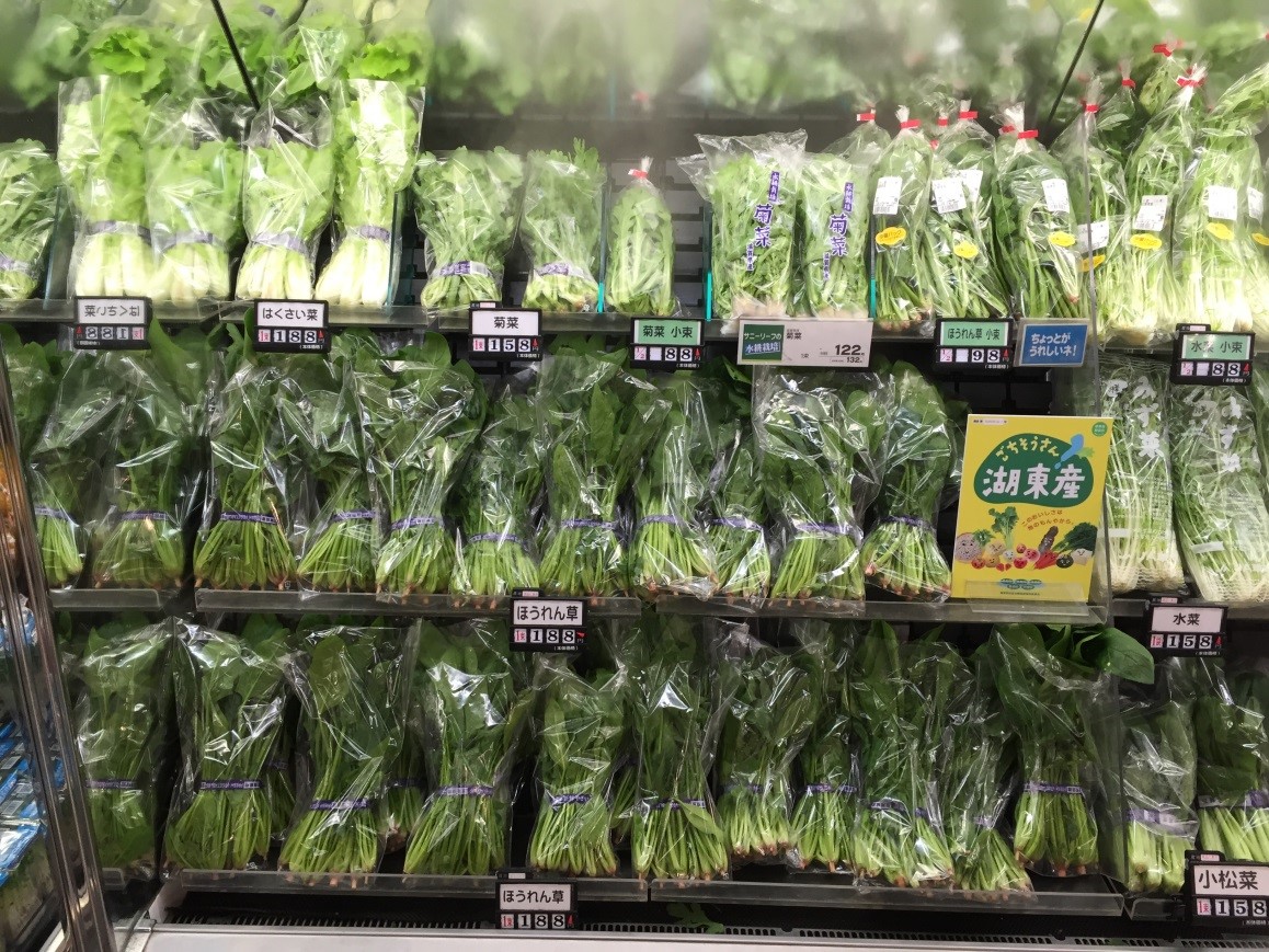 野菜が陳列されている様子の写真