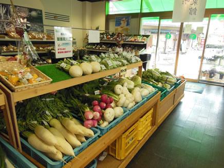 大根、かぶ、等の野菜が並ぶ彩菜館店内写真