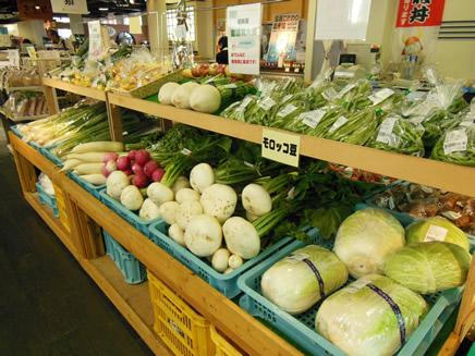 白菜、モロッコ豆、かぶ等の野菜が並ぶ彩菜館店内写真