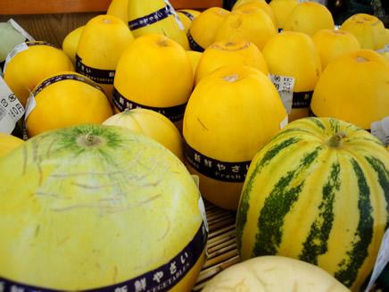 黄色のメロン、縞模様のメロンが陳列されている写真