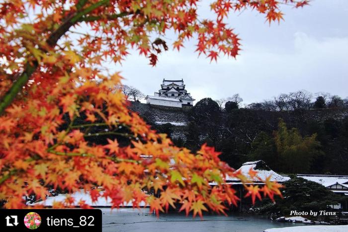 紅葉に囲まれた雪化粧の天守