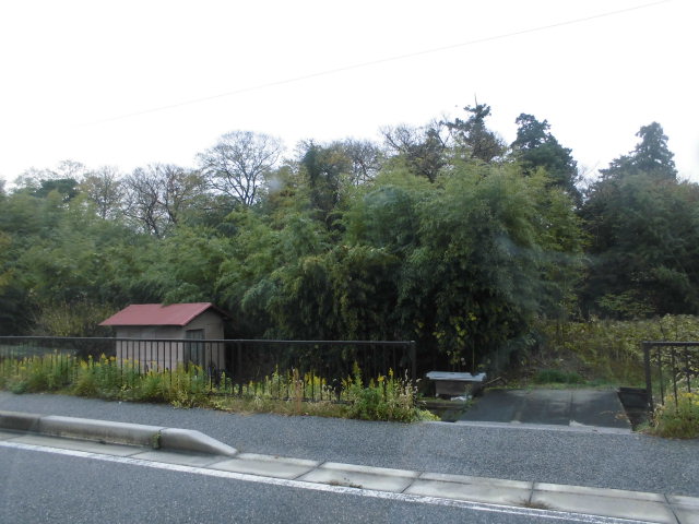 着手前の写真（木が生い茂った土地）