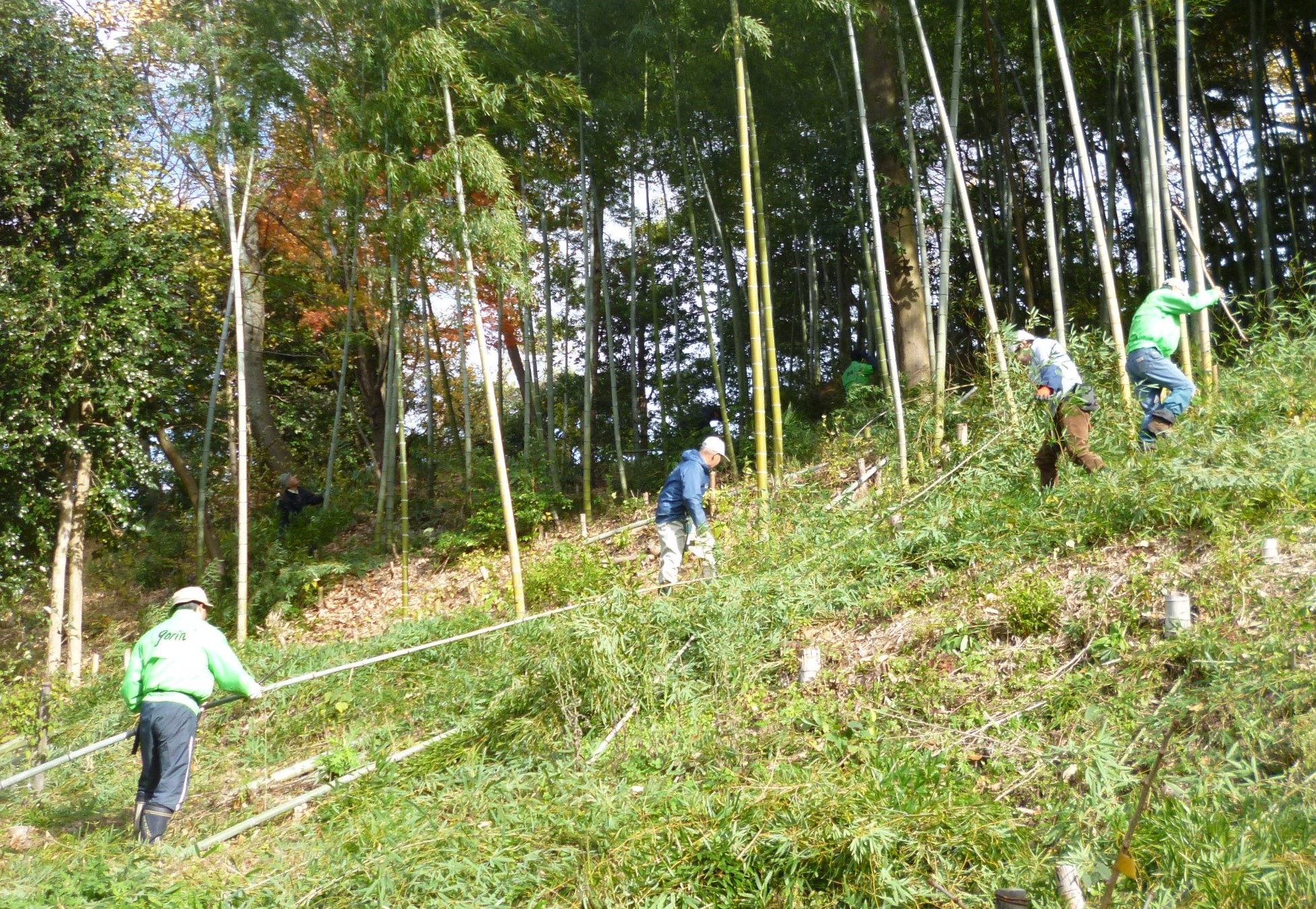 護林会の活動の様子（山の斜面で作業をする男性たち）