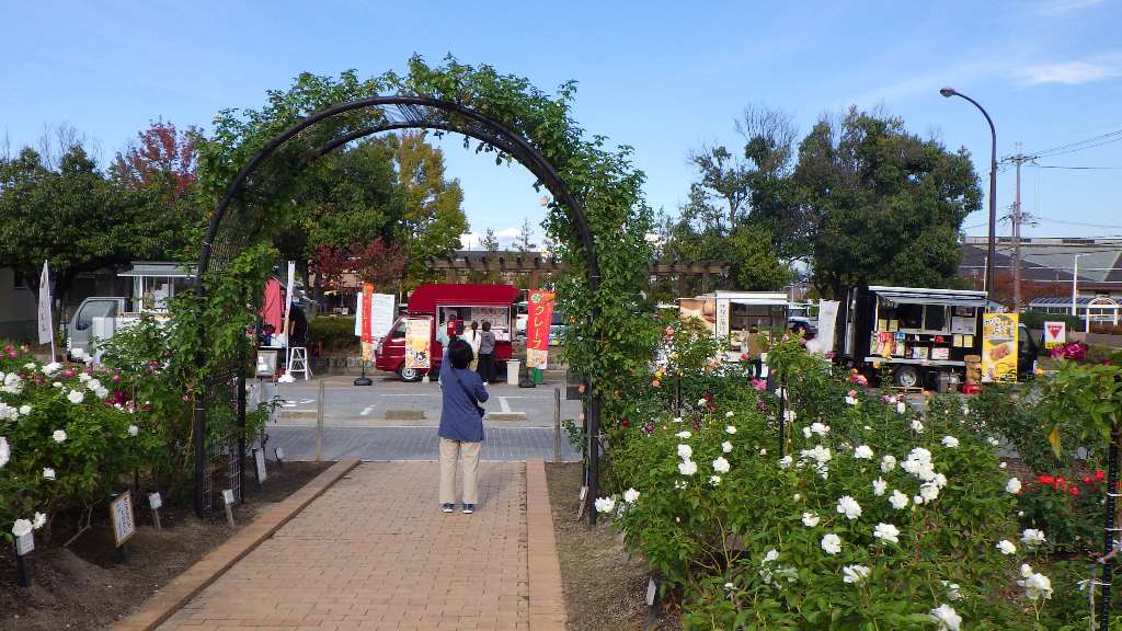 バラCafé秋 in庄堺公園の様子