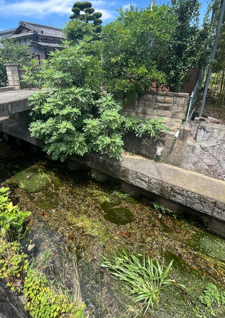 生簀跡（第37号）