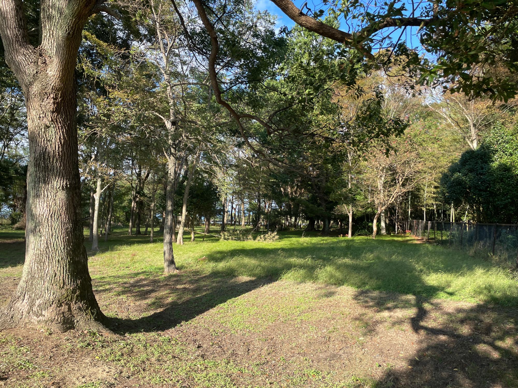 宇曾川その1