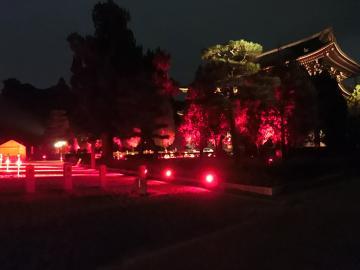 赤でライトアップされた東福寺境内を右側から撮影した様子の写真