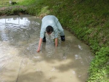 田植えをする市長の写真