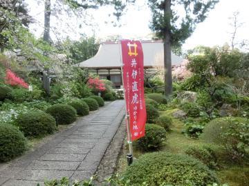 庭園から見た龍潭寺の写真