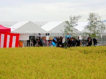水稲畑で開催されている収穫祭の写真