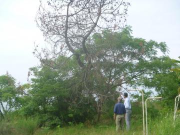 須越町自治会の方から説明を受けながら現地確認をする市長の写真