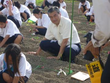 とうもろこし植え付け中の市長の写真