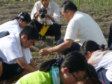 西中学校1年生のみなさんと植え付けを行っている市長の写真