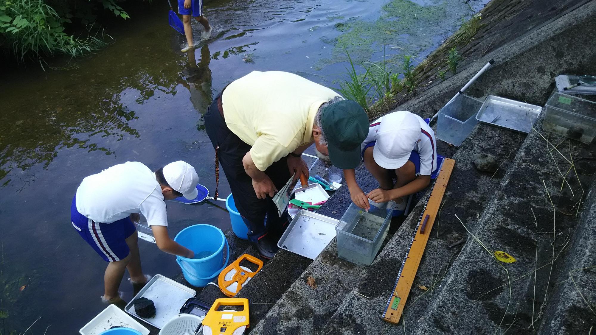 採取した水生生物をバケツや水槽に入れている生徒たちの写真