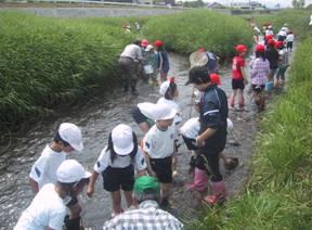 川の中に入って水生生物を採っている生徒たちの写真