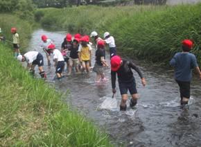 川の中に入って網で水生生物をすくう生徒たちの写真
