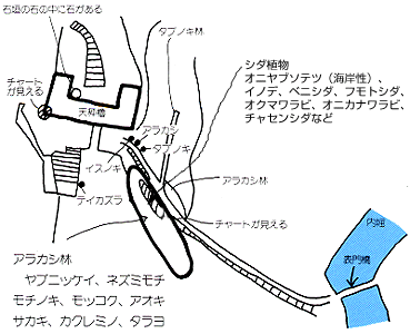 表門から天秤櫓の植物の分布図