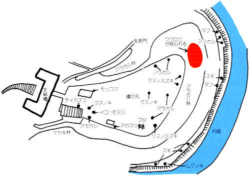 鐘の丸周辺の野鳥と植物の分布図