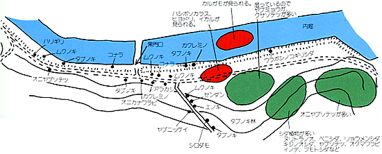 ルートマップ