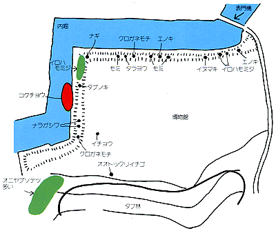 彦根城博物館付近の植物の分布図