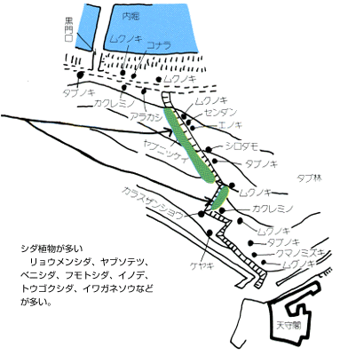 彦根城の裏山道から西の丸のシダ植物の分布図