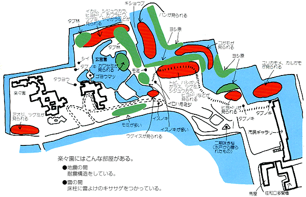 彦根城外堀の水鳥の分布図