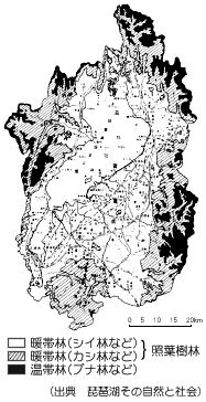 滋賀県の樹林の地図