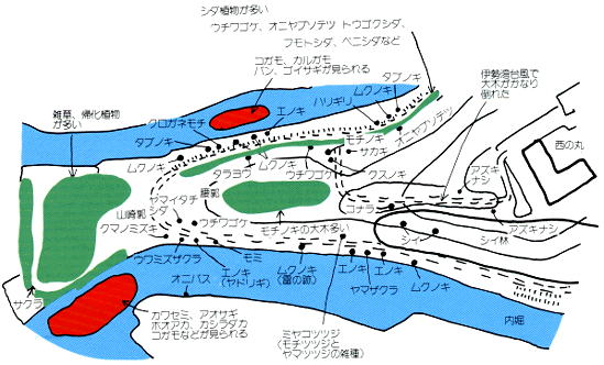彦根城内堀の水鳥や山鳥植物の分布図