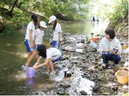 矢倉川で捕まえた魚をバケツにいれている子供たちとそれを見ている先生の写真