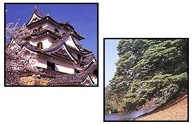 彦根城の写真と、木々の写真を2枚組み合わせた写真