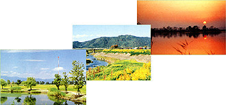 夕日や山脈など、彦根の自然の風景を3枚並べている写真