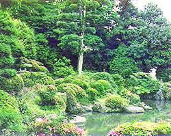 明照寺庭園の写真