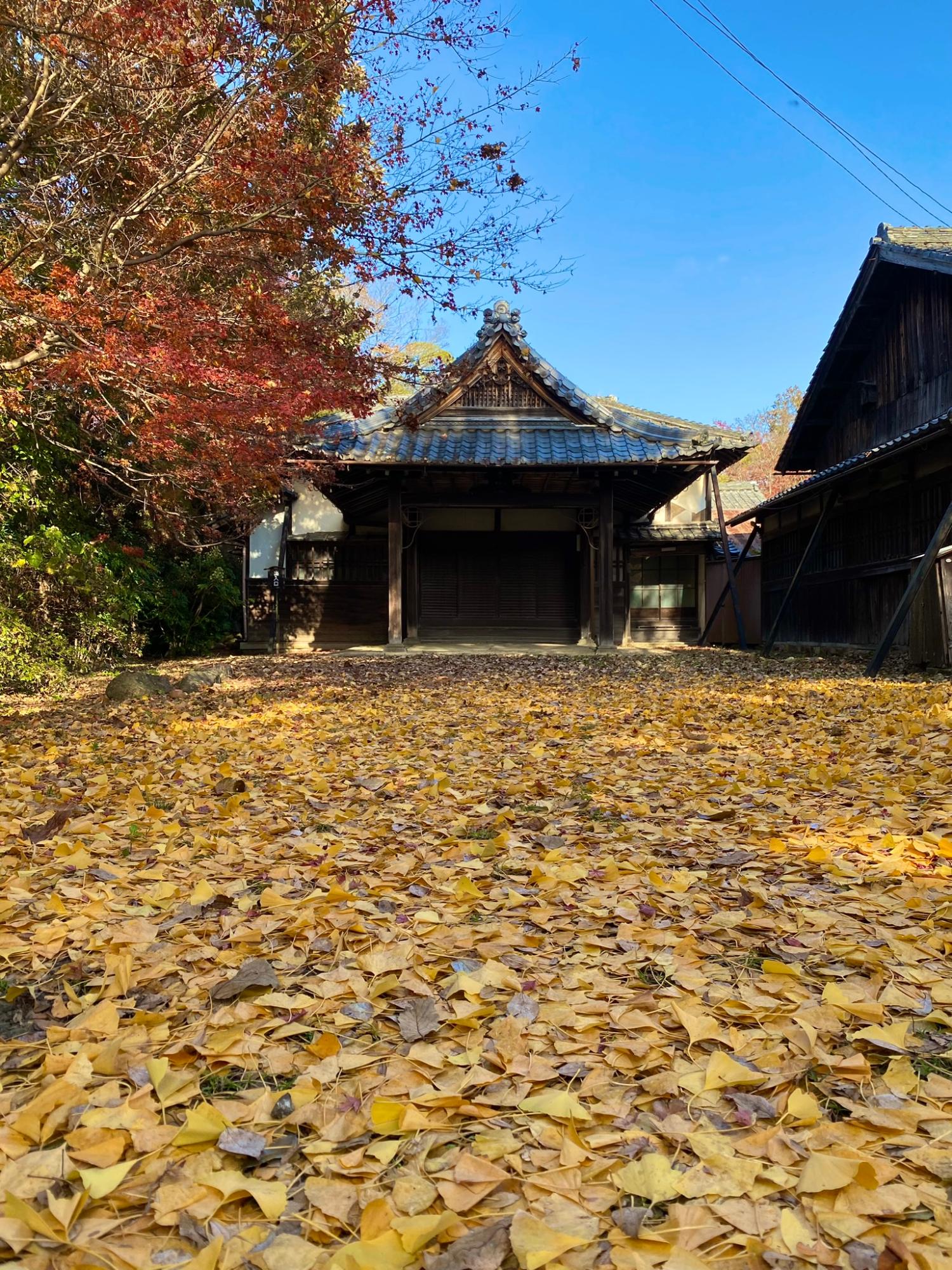 門からお浜御殿の建物を臨む