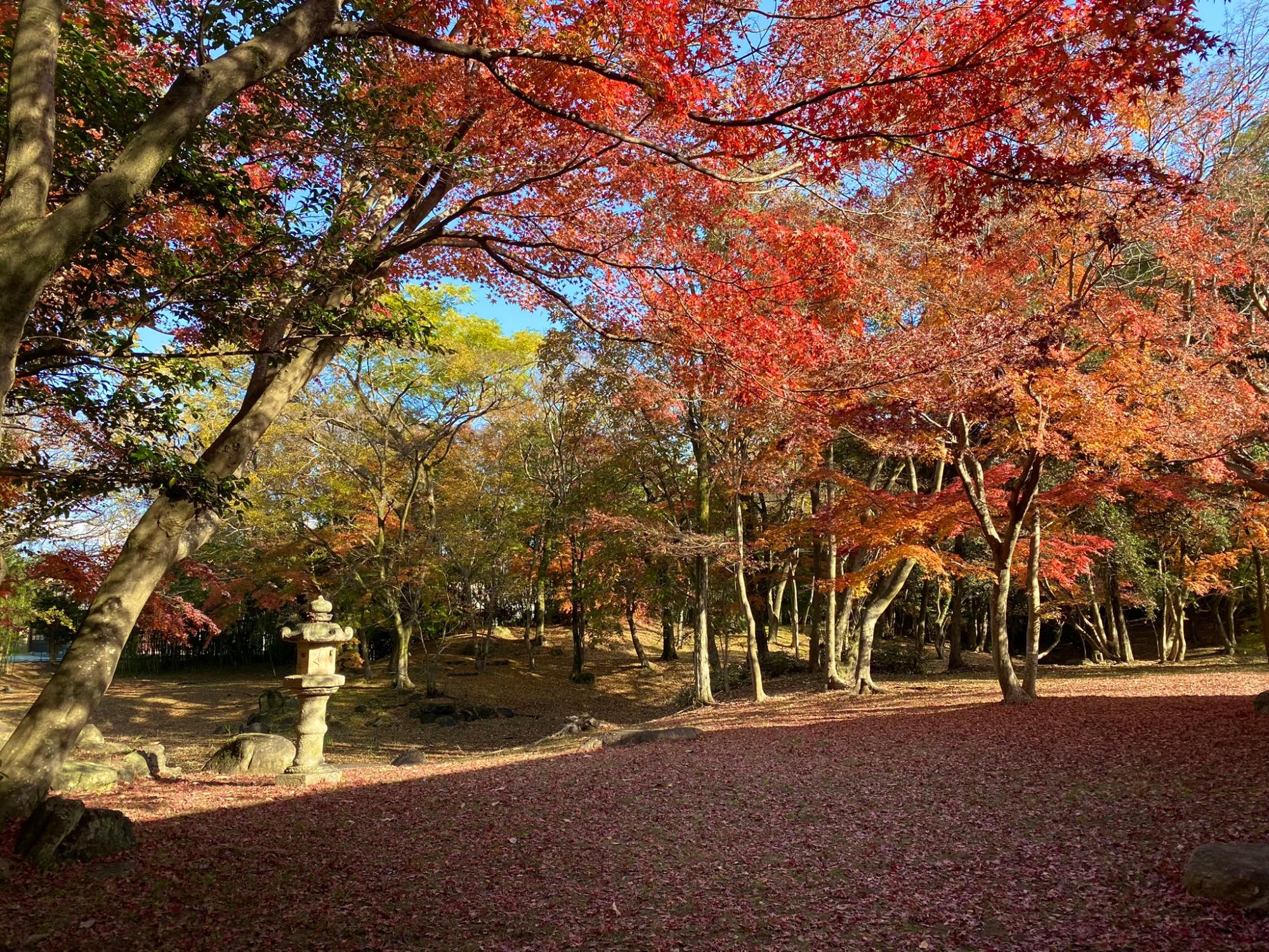 お浜御殿の庭園入り口から庭園を臨む