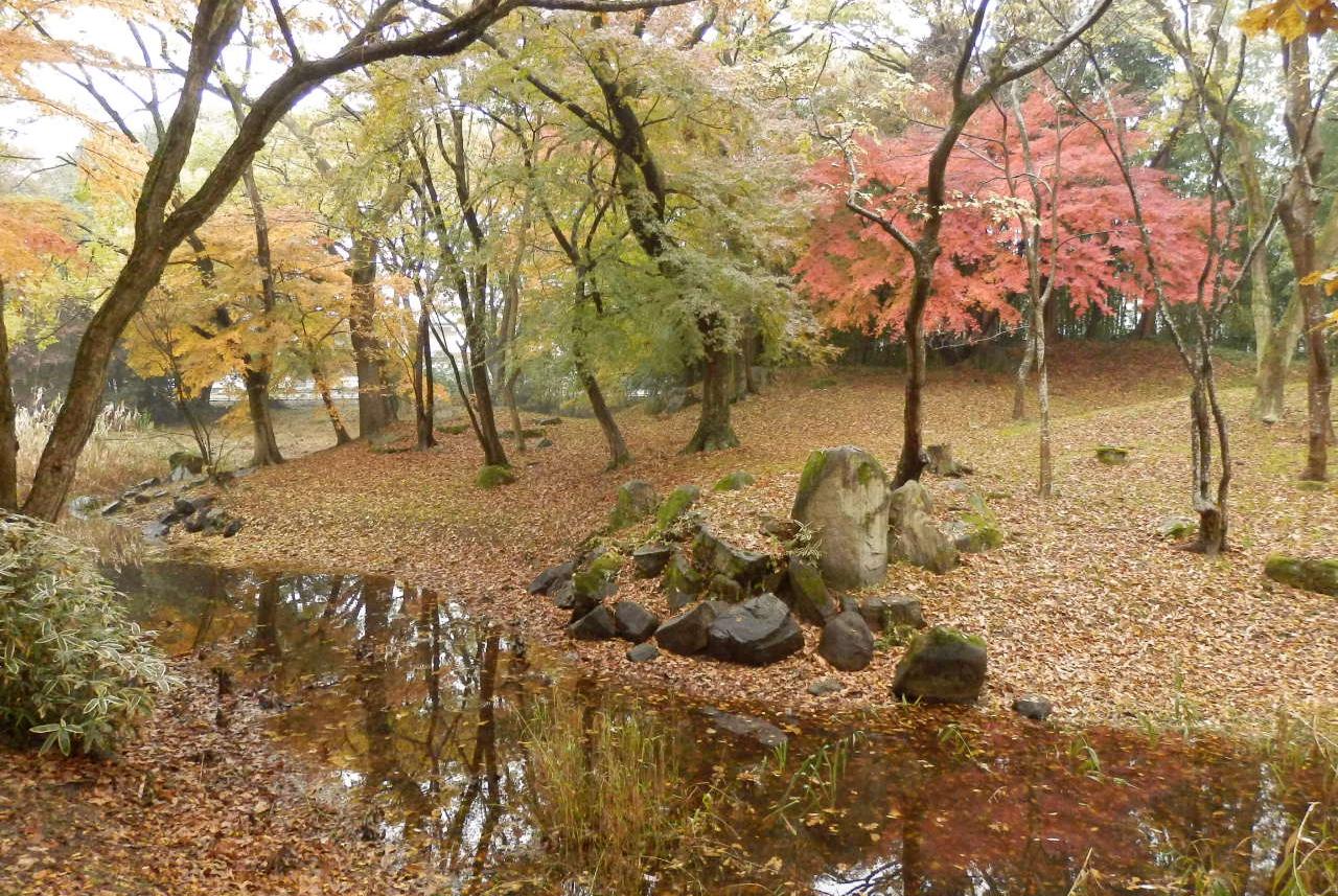 秋のお浜御殿庭園