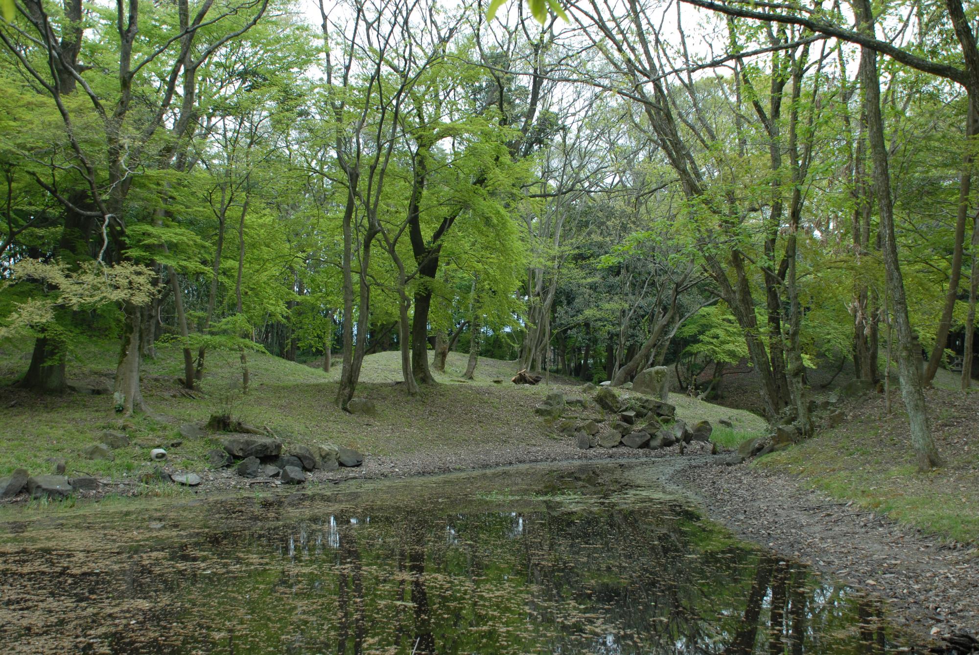 旧彦根藩松原下屋敷（お浜御殿）庭園