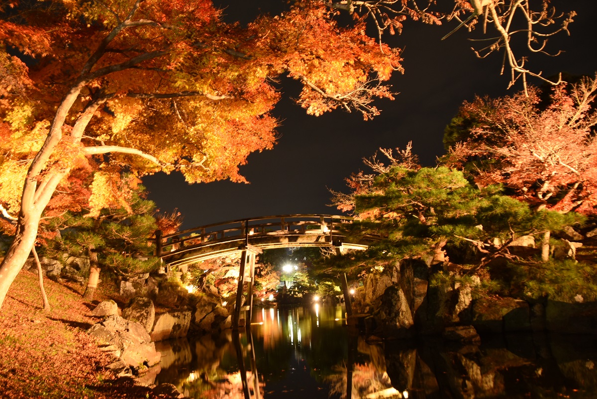 ライトアップされた高橋の画像