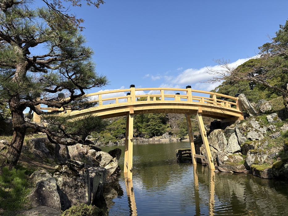 庭園の池にかけられた新しい橋の画像