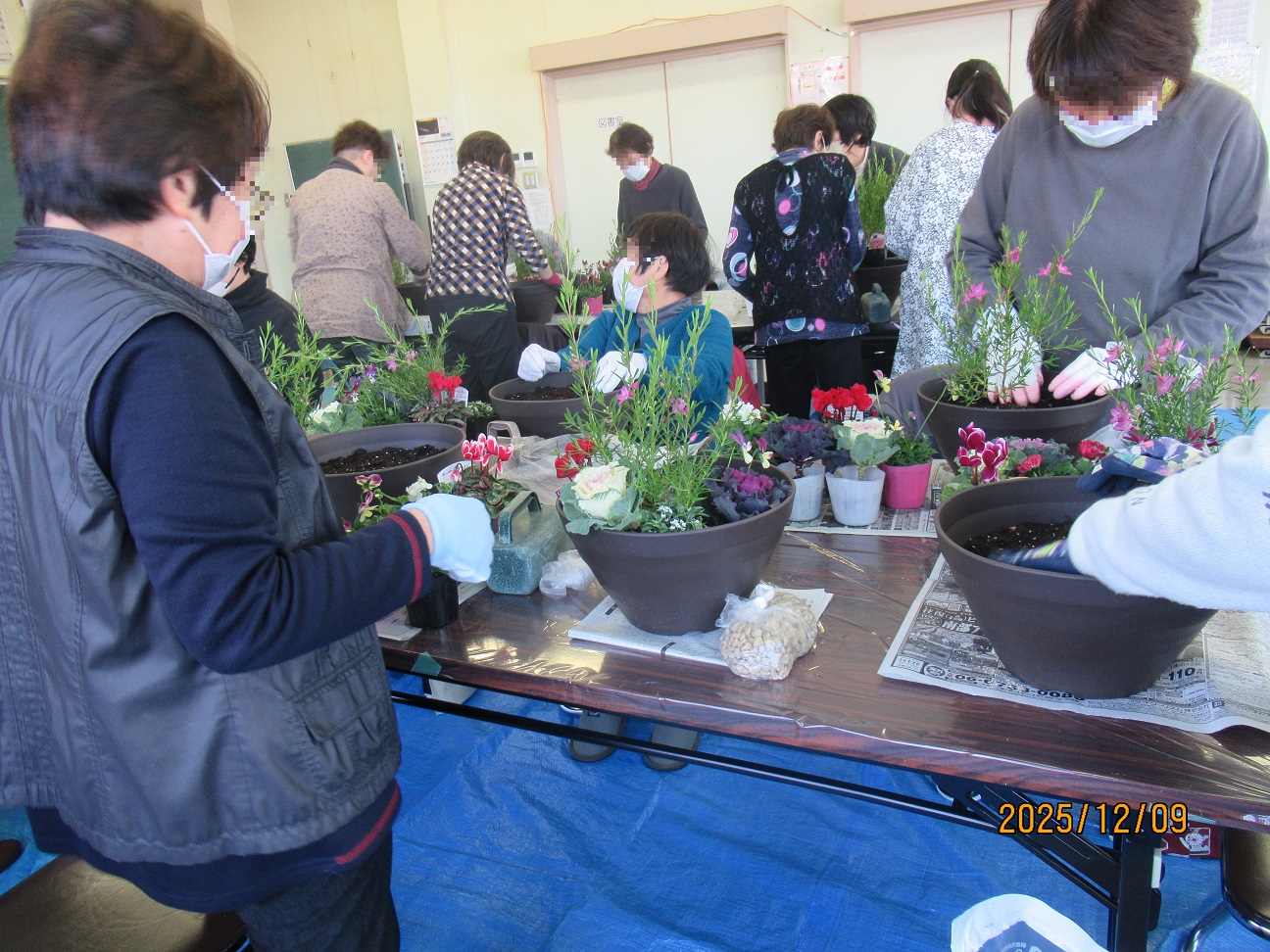 寄せ植え作業中の様子