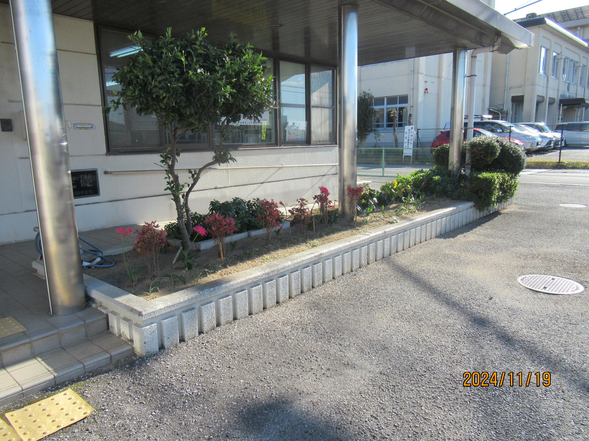 花壇の写真