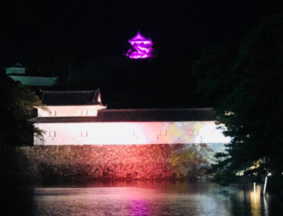 彦根城ピンクライトアップ2
