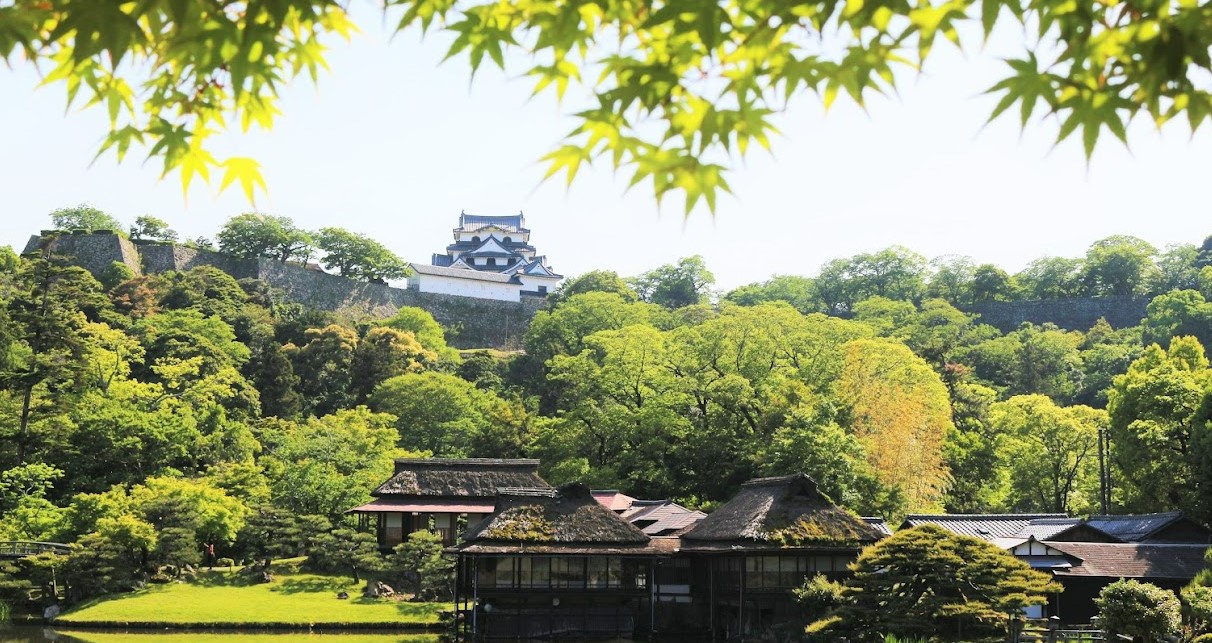 夏の玄宮園