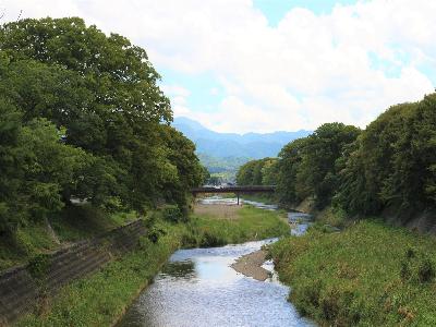 芹川沿いの風景